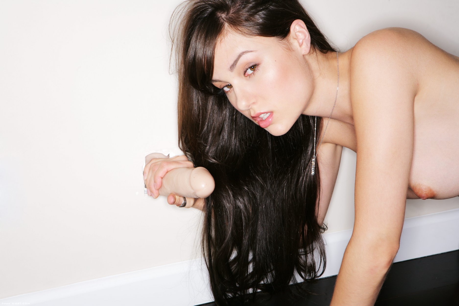 Fotos de Sasha Grey Masturbandose X-Art